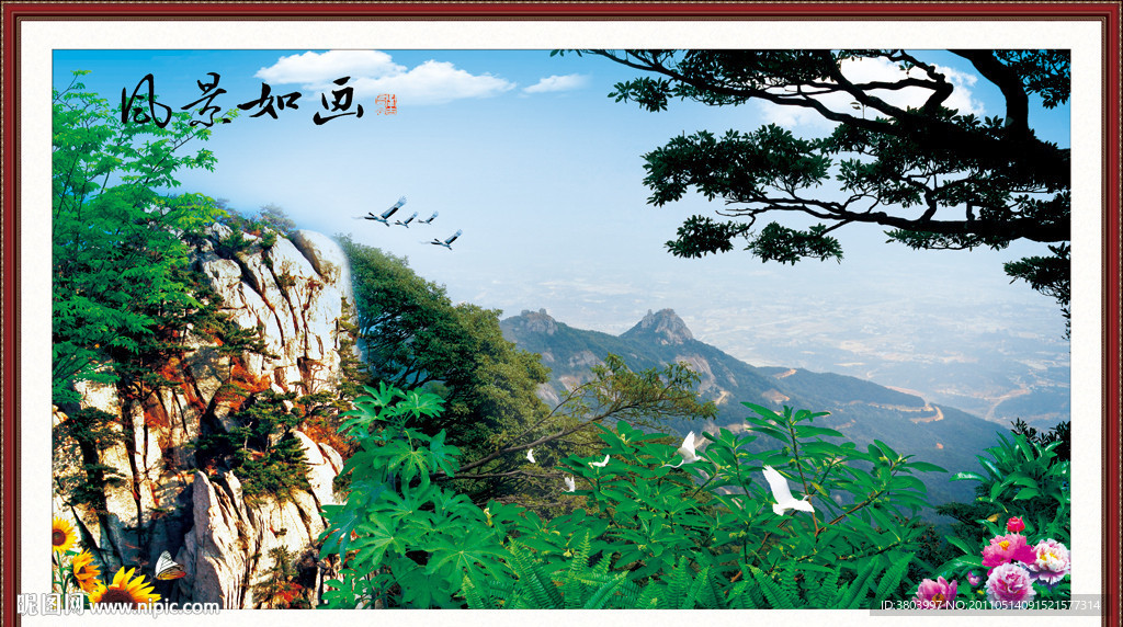 风景