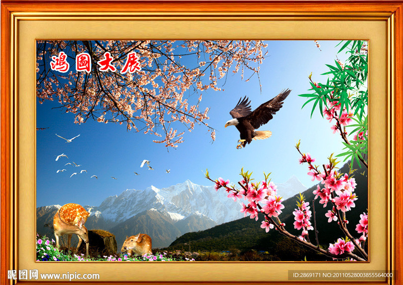 大展鸿图