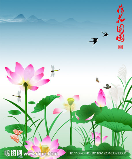 荷花 荷塘 莲花