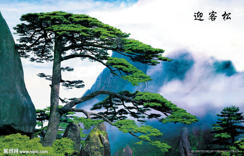 风景黄山迎客松立体画序列图