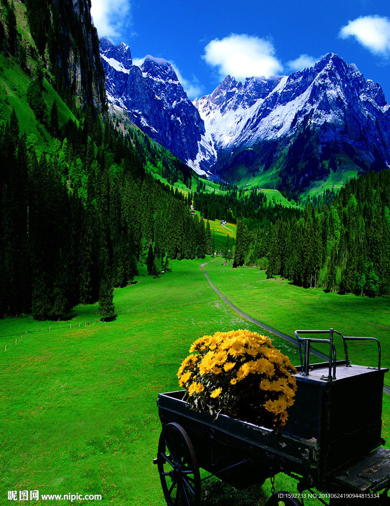 风景画草地雪山立体画序列图