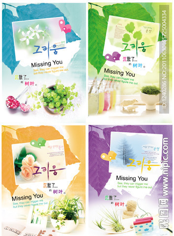 本本设计 沉默的树叶