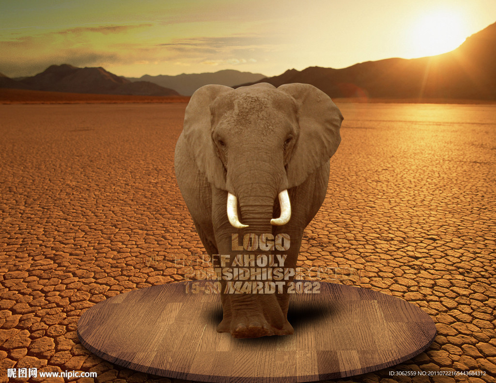 大象形象 时尚设计