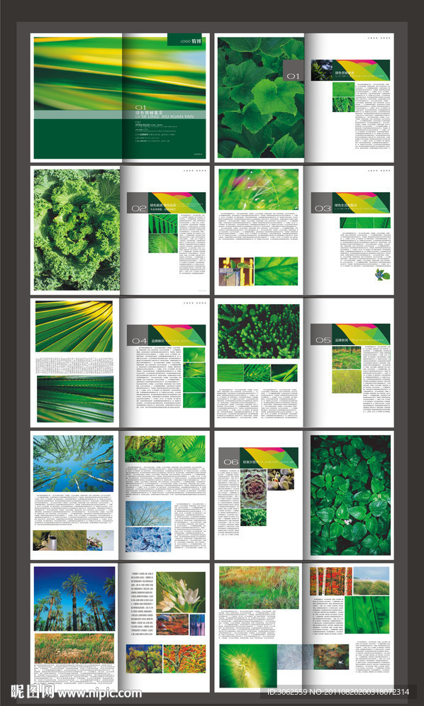 绿色画册 叶子画册