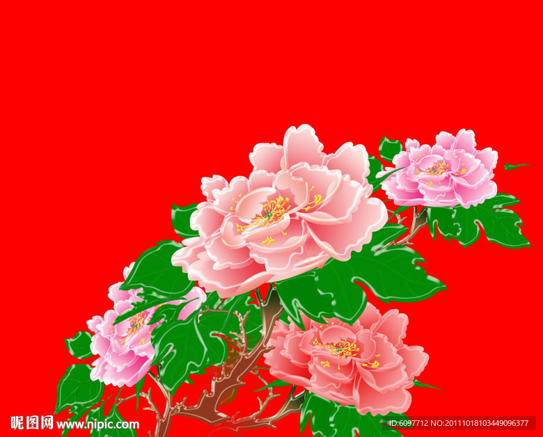 牡丹
