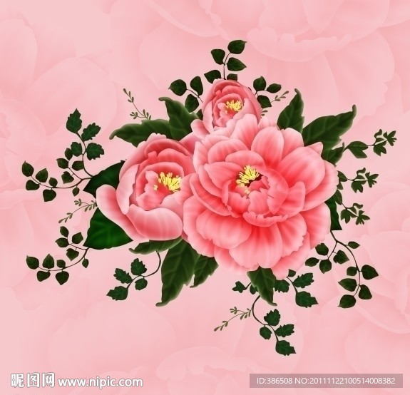 牡丹花纹