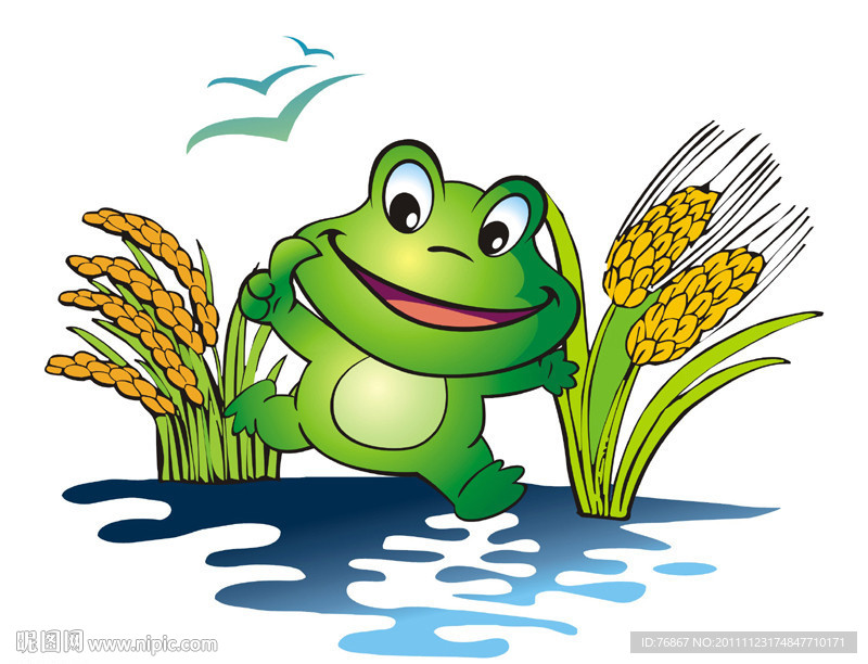 青蛙水稻鄱阳湖