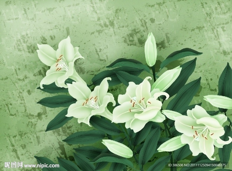 百合花