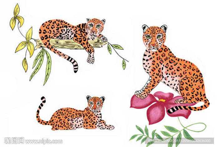 动物 豹子 外贸餐具手绘豹子图