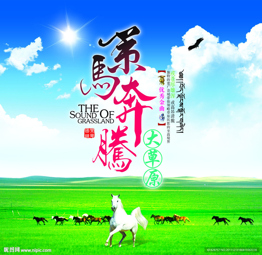 策马奔腾大草原