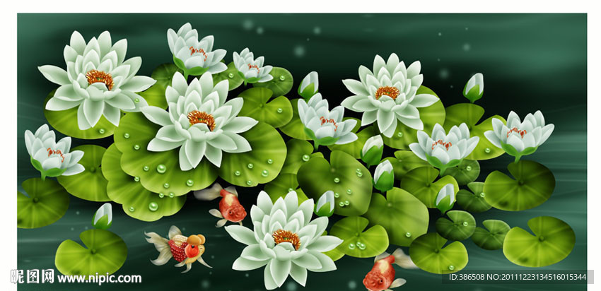 荷花