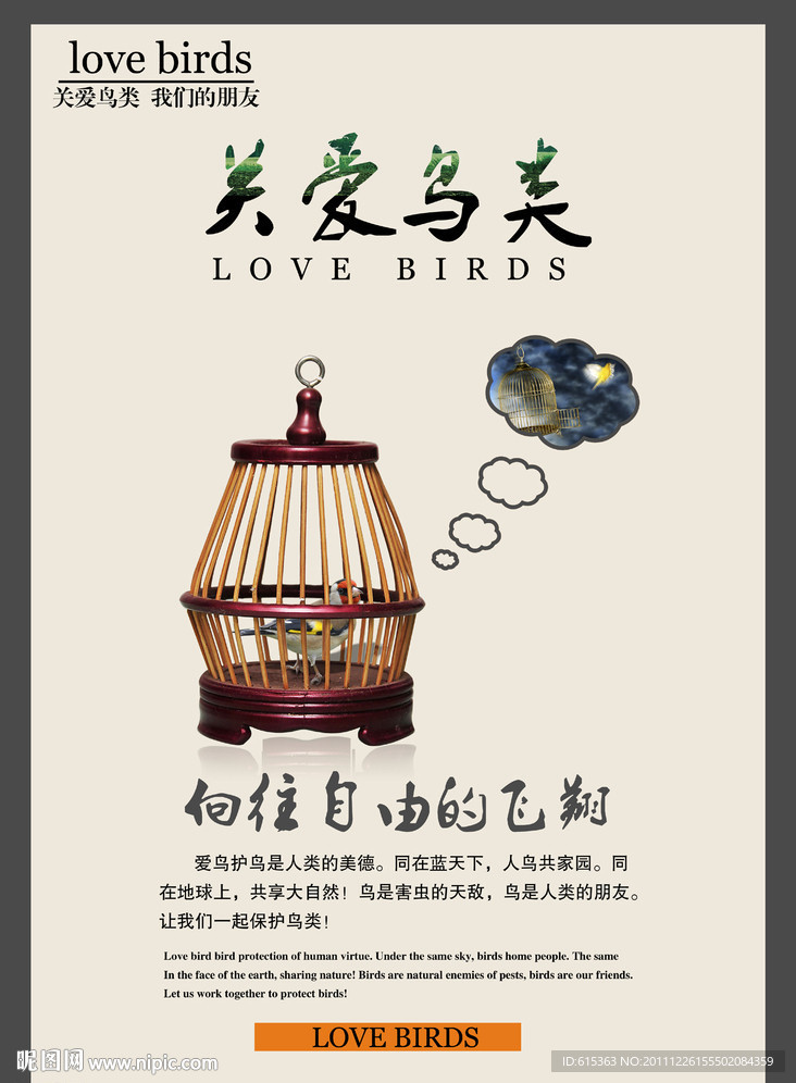 关爱鸟类保护环境