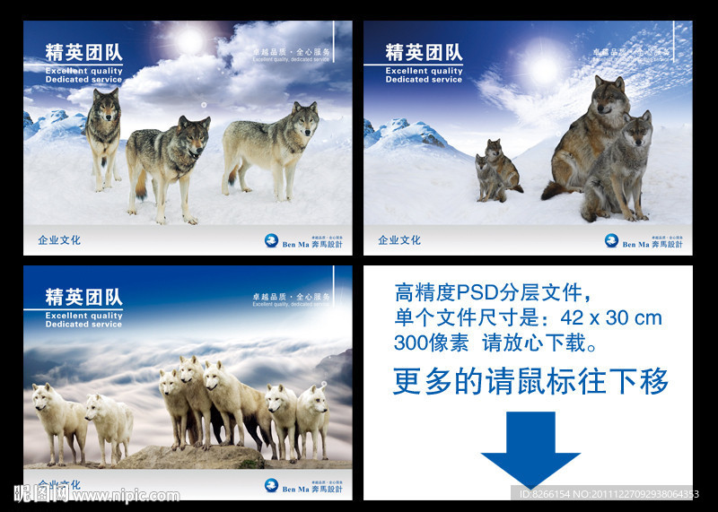 企业文化 狼狗 团队