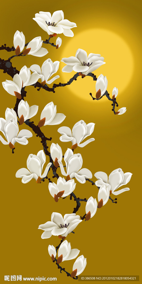 玉兰花