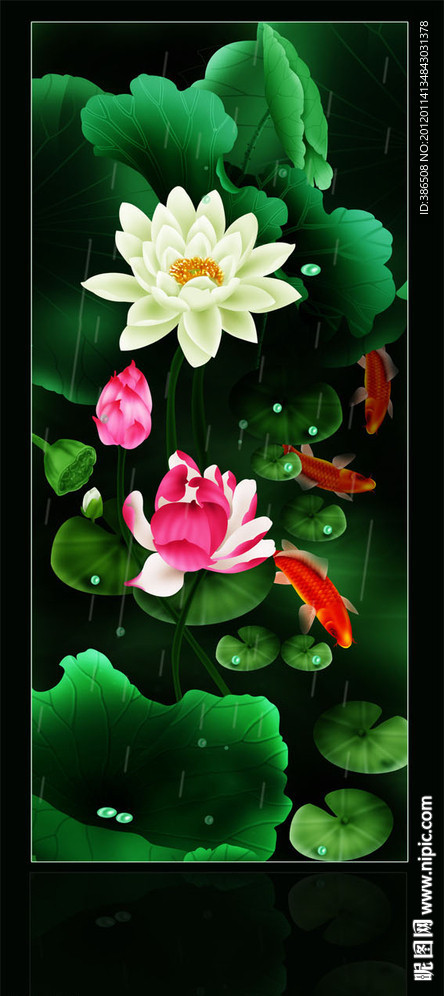 荷花