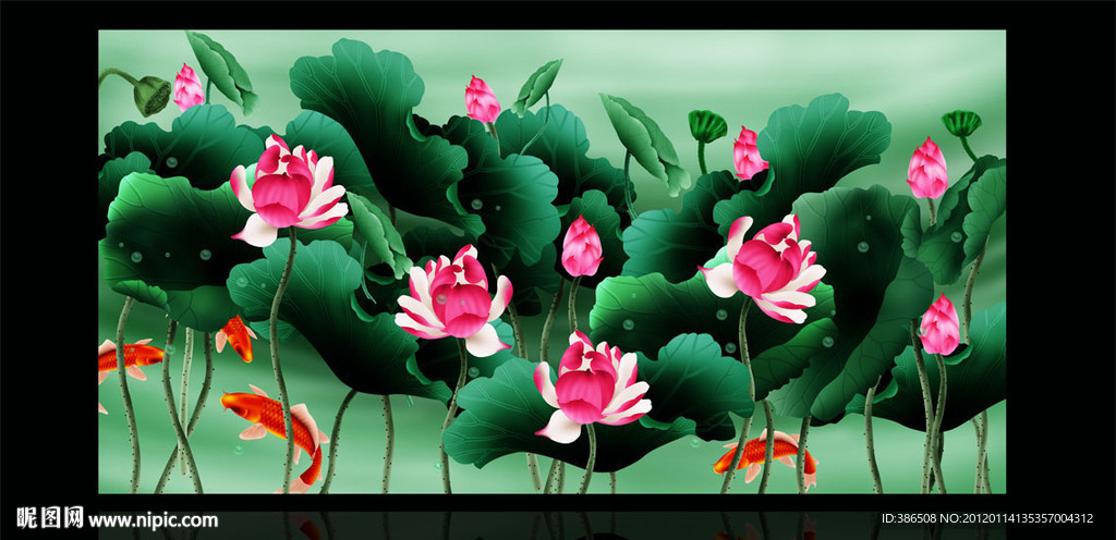 荷花