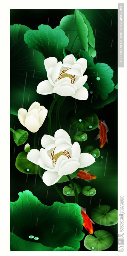 荷花