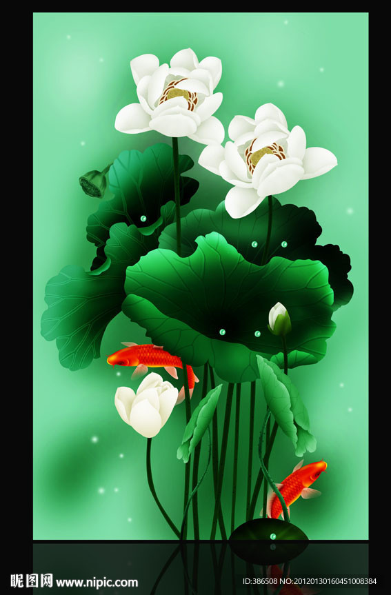 荷花