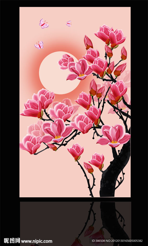 玉兰花