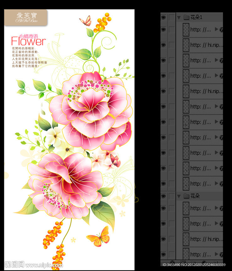 花卉 手绘花 花朵