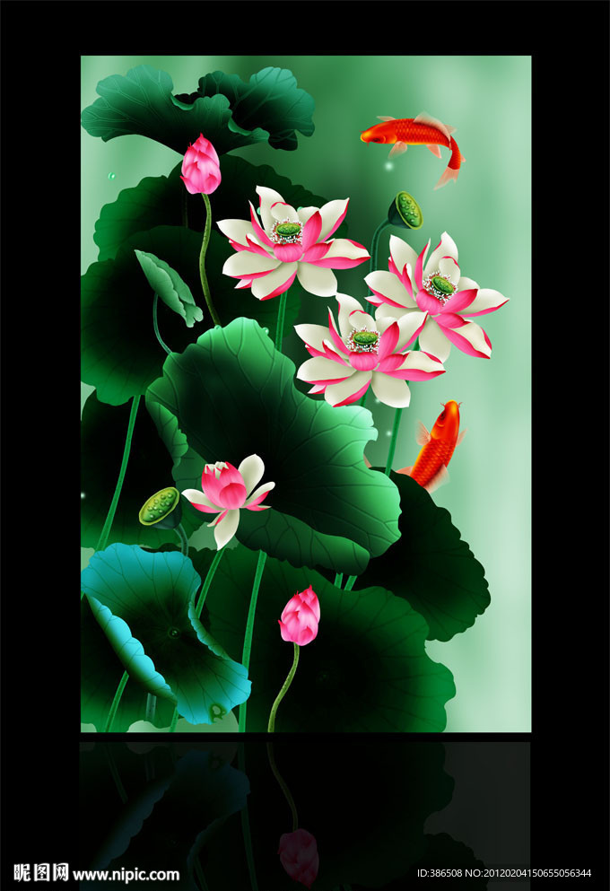 荷花