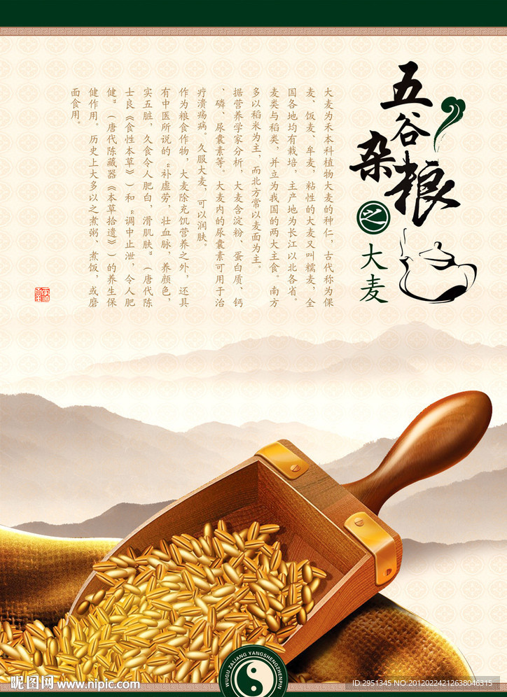 大麦 五谷杂粮