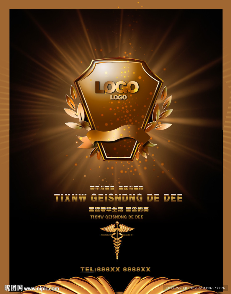 奢华形象 形象画