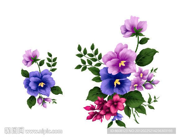 月季花玫瑰花花儿（通道分层）
