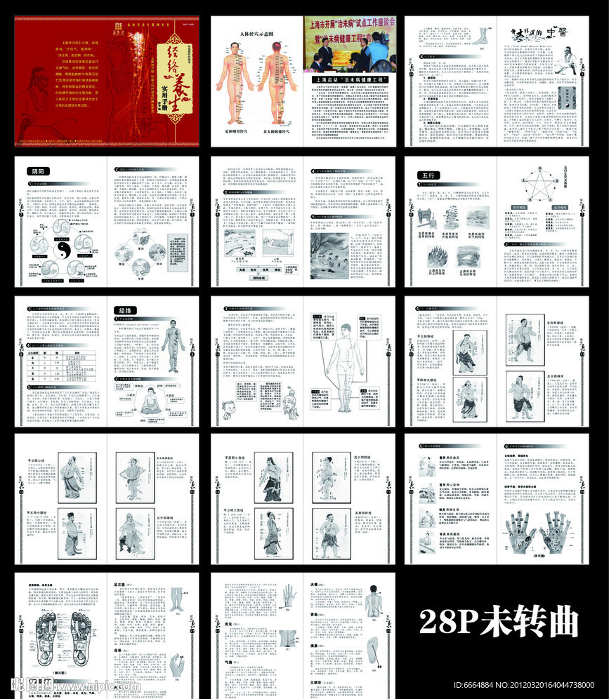 中医经络养生手册