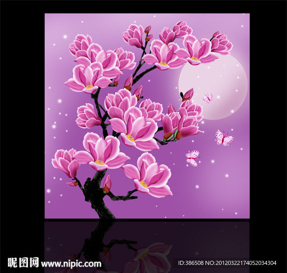 玉兰花
