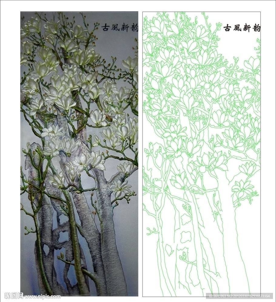 玉兰