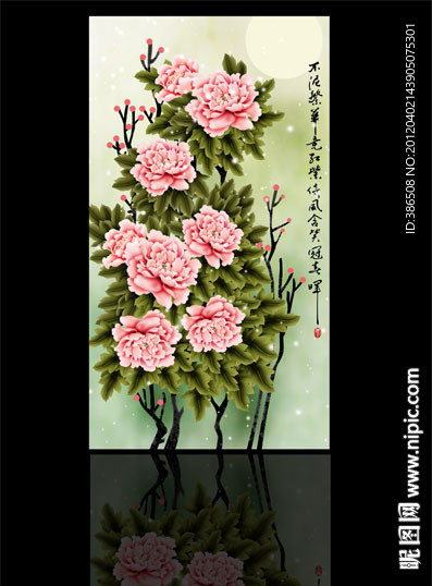 牡丹花