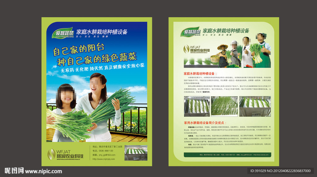 生态农业 单页