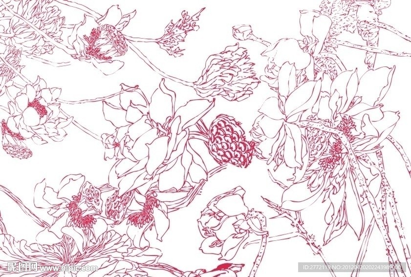 靓丽红莲子 美工插画