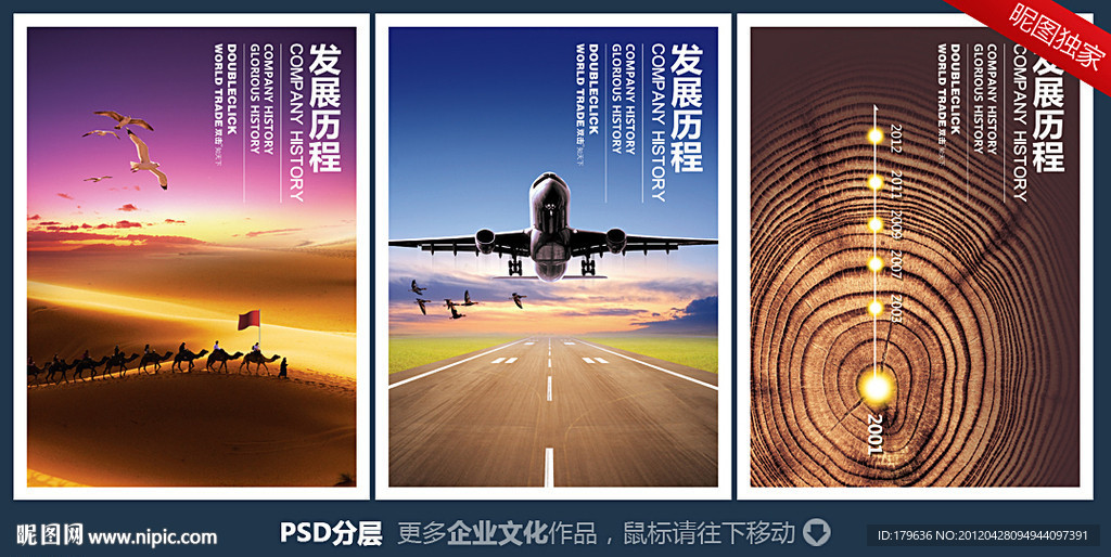 发展历程
