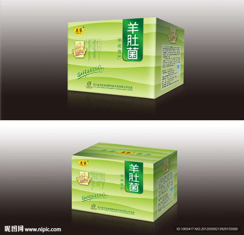 牛肚菌 礼盒包装 （平面图）