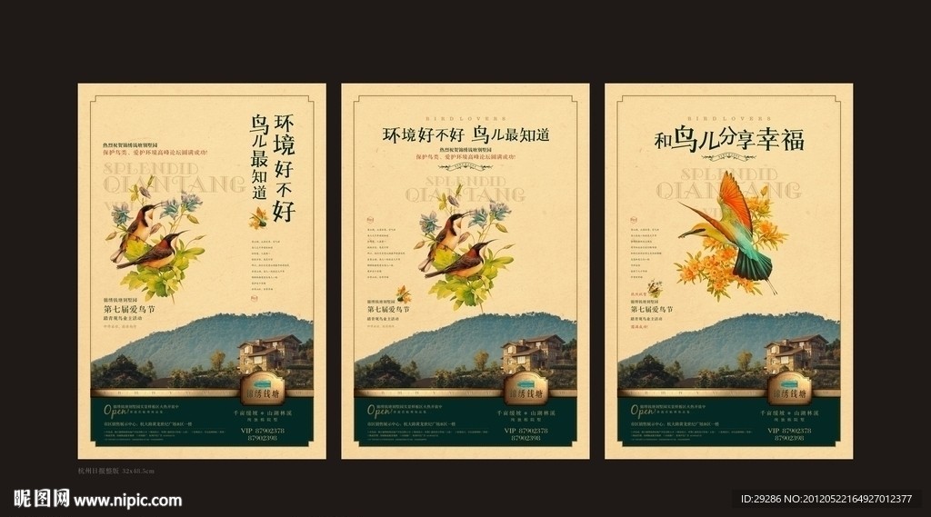 爱鸟节活动设计