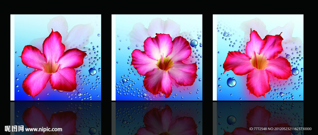 花卉装饰画无框画