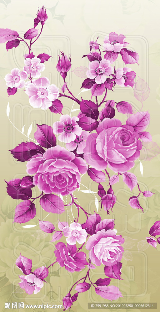 玫瑰花 花卉图案