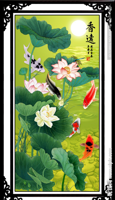 荷花 鲤鱼