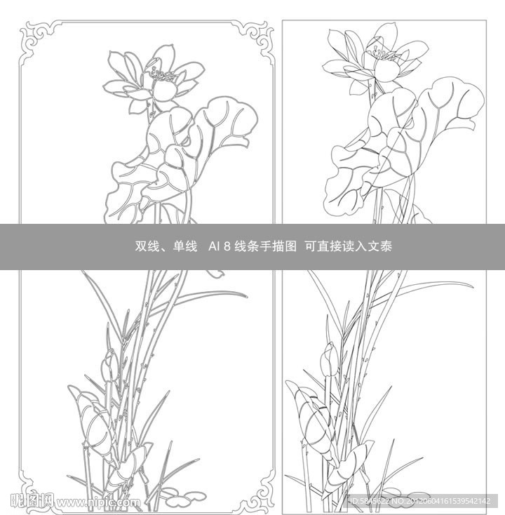 荷花线条图