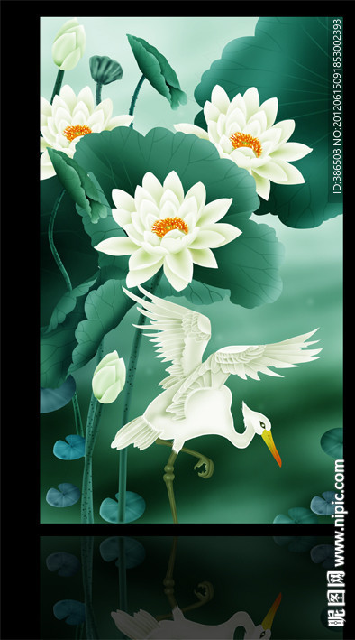 国画荷花仙鹤图