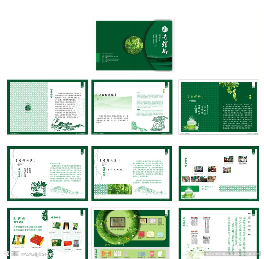 茶叶 画册 封面