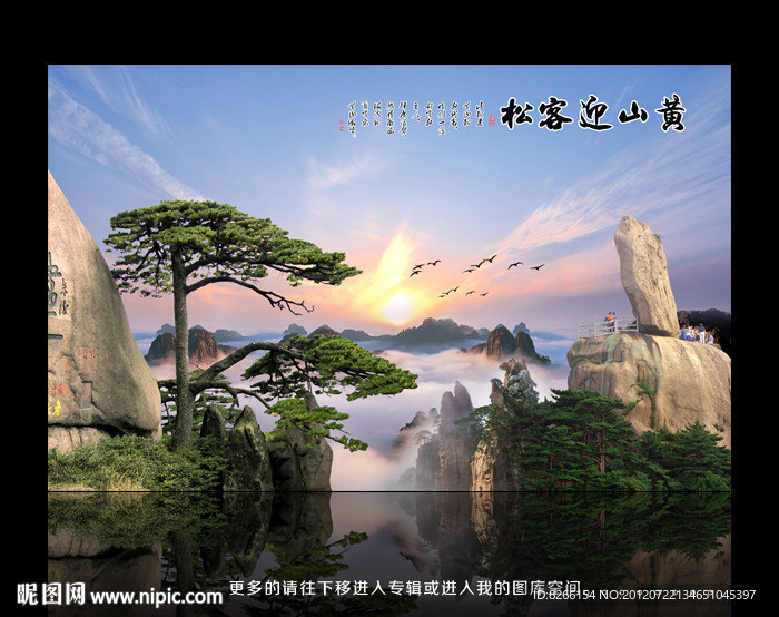 迎客松