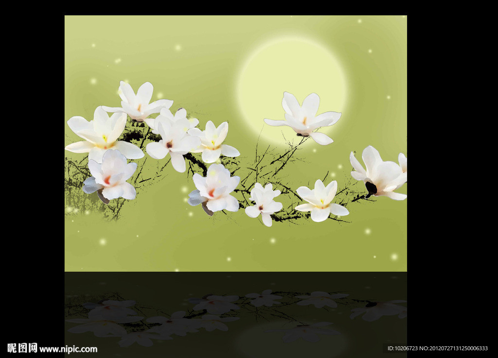 玉兰花 无框画