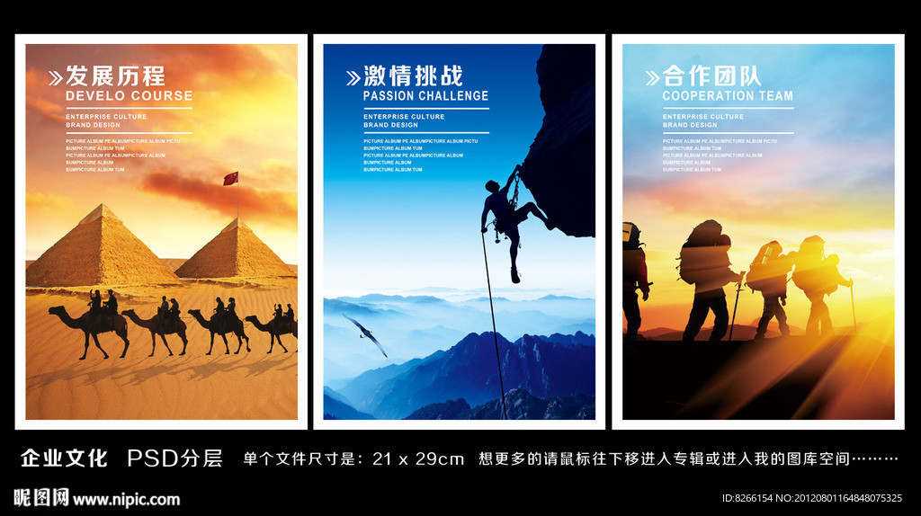 发展历程 企业历程 合作团队 探险队 挑战