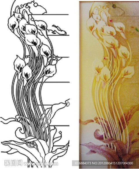 马蹄莲 一路高歌 金色