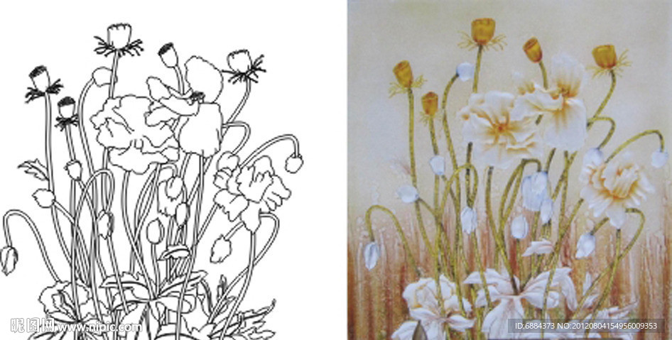 莲花 金莲 荷花