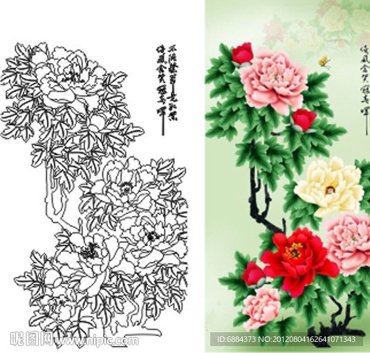 牡丹花 花开富贵