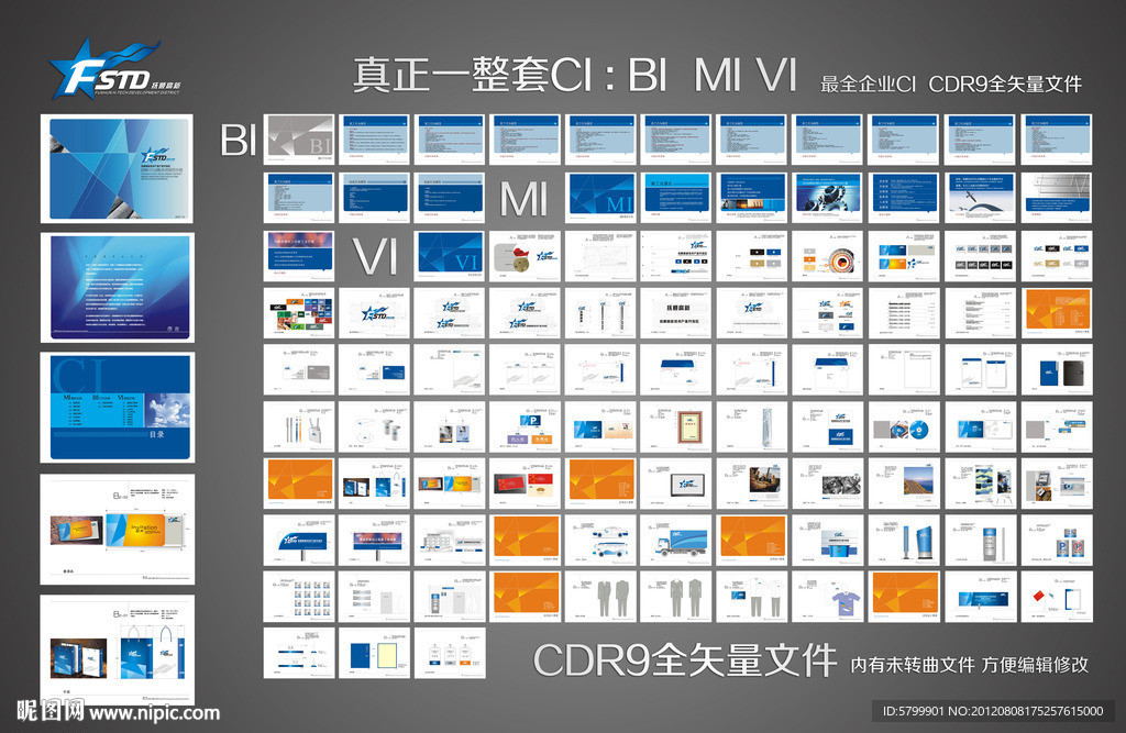 企业VIS